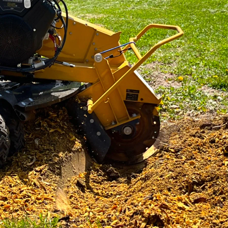 closeup of stump grinding work on going service